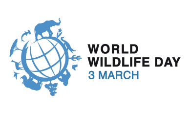 World Wild life Day 3 March 2024